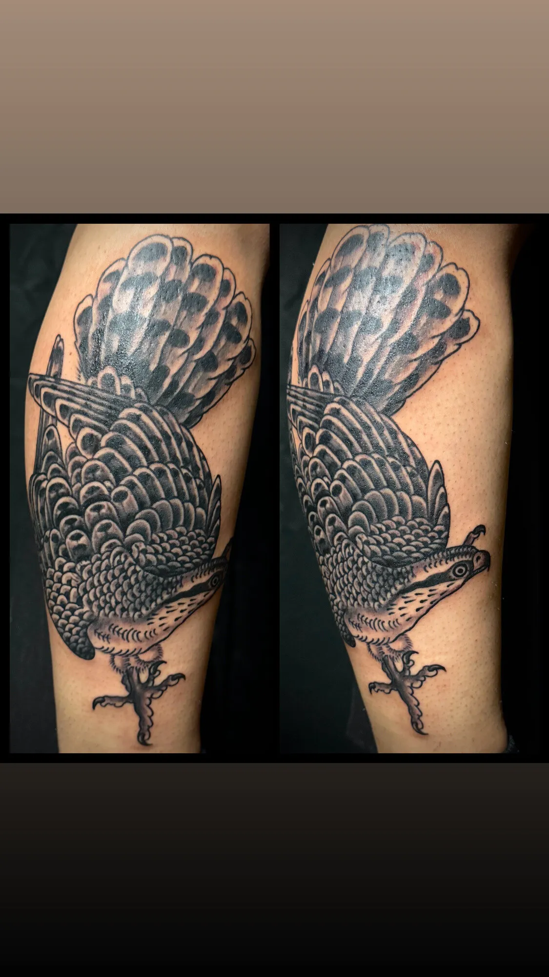 Black and grey falcon arm tattoo shown from two angles by Josh Robinson in Dallas, TX