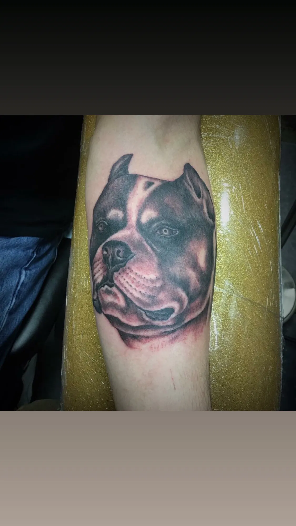 Black and grey pit bull portrait arm tattoo by Josh Robinson in Dallas, TX