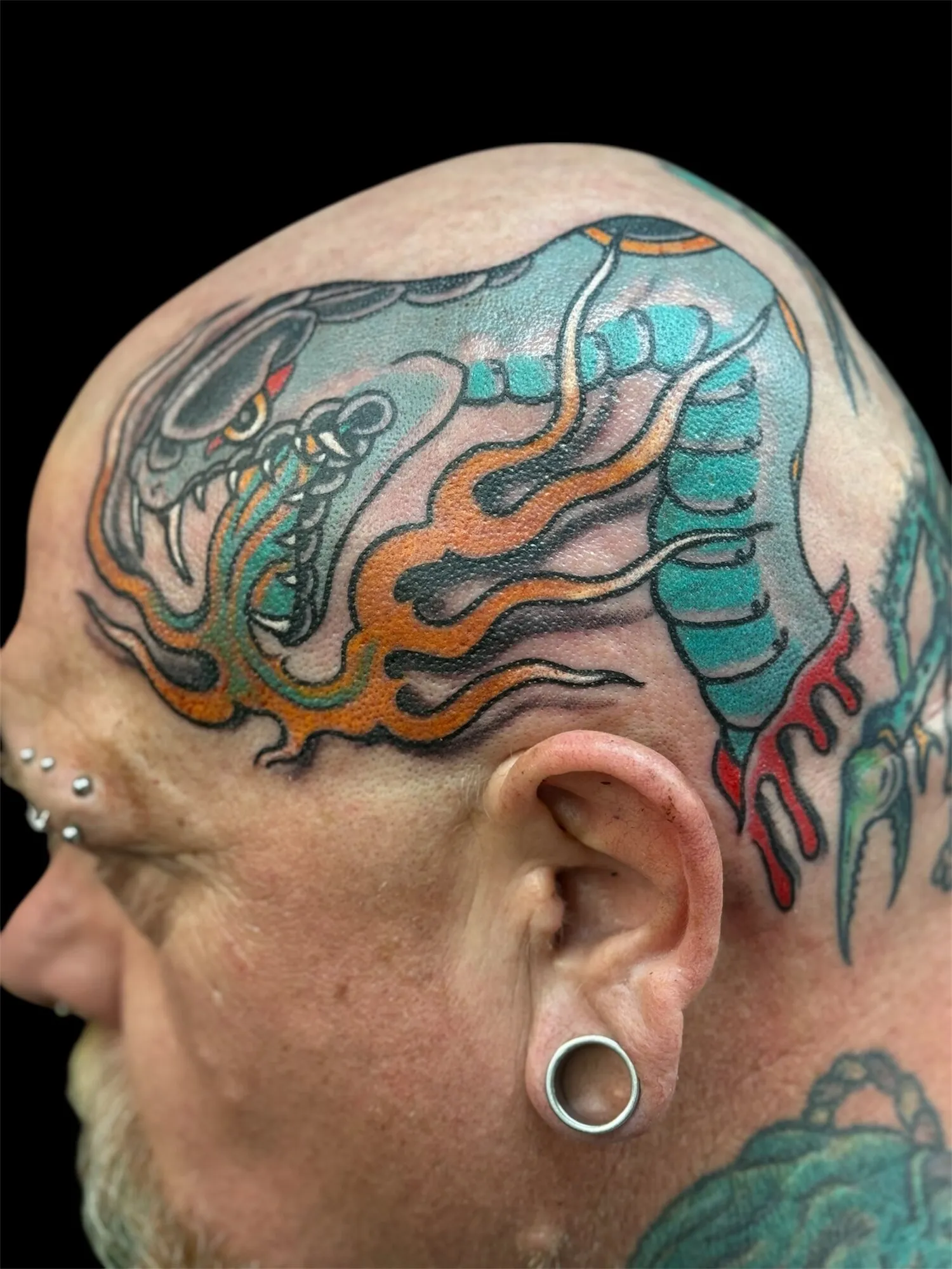 Traditional squid head tattoo in teal and orange by Josh Robinson in Dallas, TX