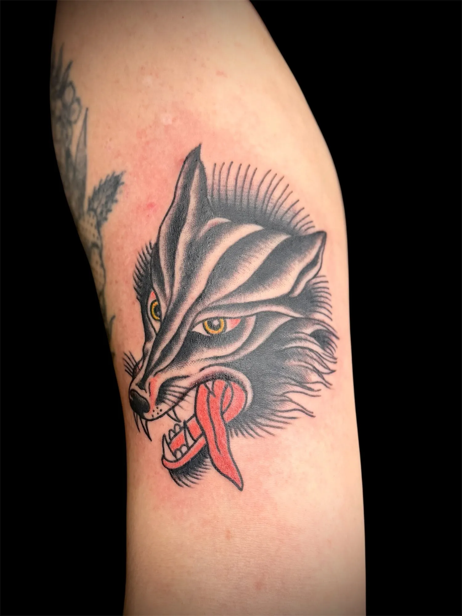 Traditional wolf head forearm tattoo in black and red by Josh Robinson in Dallas, TX